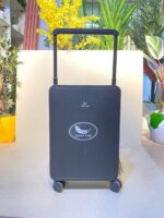 Leaves king luggage bag