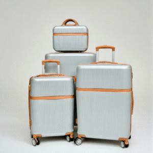 Luxe luggage Bag