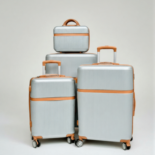 Luxe luggage Bag