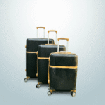 4-in-1 BlackLuxe Premium Travel Collection