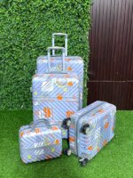 4in1customized luggage set